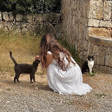 Lorina