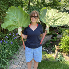 Cheryl Wassermann
