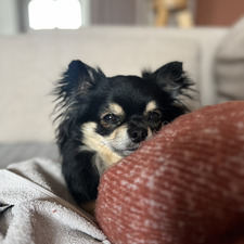 Sarah