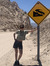 Sara Ba...