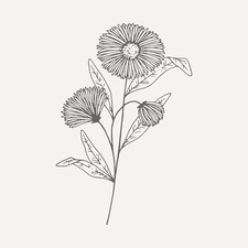 Bethany Jones