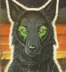 StarDog
