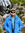 scifi_gregorio