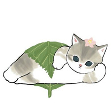 honeydew