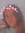 Hannah
