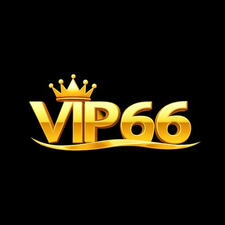 Vip66coach