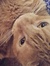Astrid