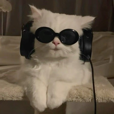 Kimi