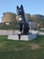 Aysenur