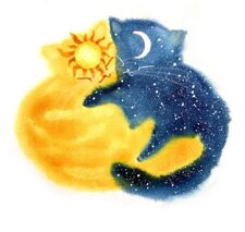 ☾⋆｡ Lau °✩