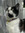 member photo member photo