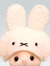 alice⋆˚࿔