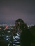 Jules C...