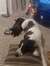 Mazzy S...