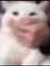 Benja