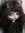 Courtjester