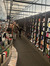 Ella Wo...
