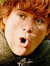 Asher