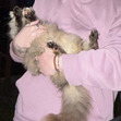 Ugnė