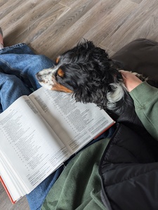 Jinnie Yang