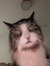 Son