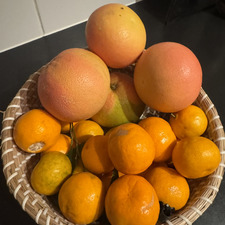Moulika