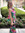 Kayla Lovelace