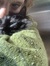 Signy