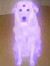 willow