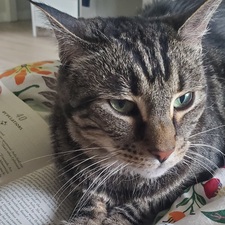 Sam