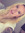Hannah Workman