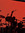 ℂari | 17 comments