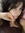 joana 