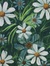 ༆Marina