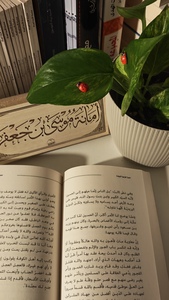 بَــتـول 