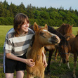 Ilse