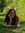 Kayce Wadas