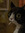 Eggbert_Online