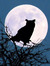 Luna☾