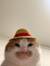 Metty