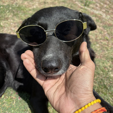Eklavya