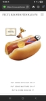 Sage the hottest dog