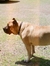 maddy