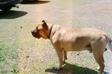 maddy