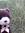 Berni