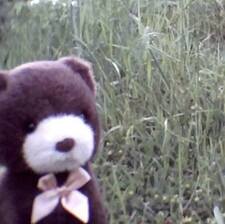 Berni