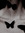fatima 🦇