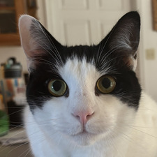 William