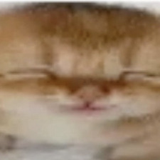 BB