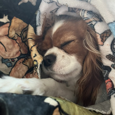 𝐁𝐫𝐨𝐨𝐤𝐥𝐲𝐧𝐧(reading slump)